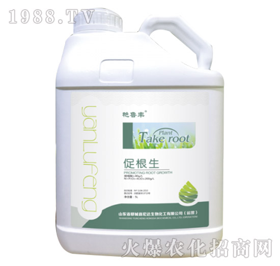 �ٸ���-�G���S-���_����