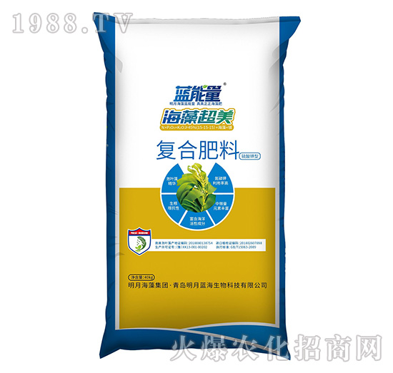 �ͺϷ���-���峬��-�{����