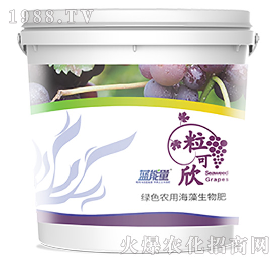 ������-�{����