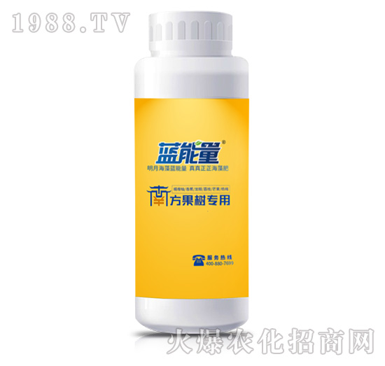 �����䌣��-�����n��-�{����