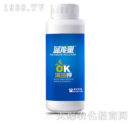 �����-�{����