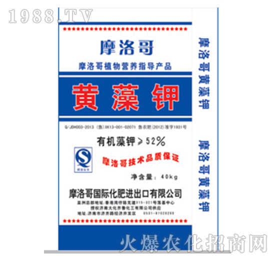 52%�S���-Ħ���-���R��