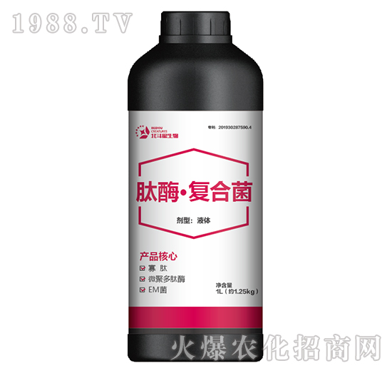 ��ø����(f��)�Ͼ�-������