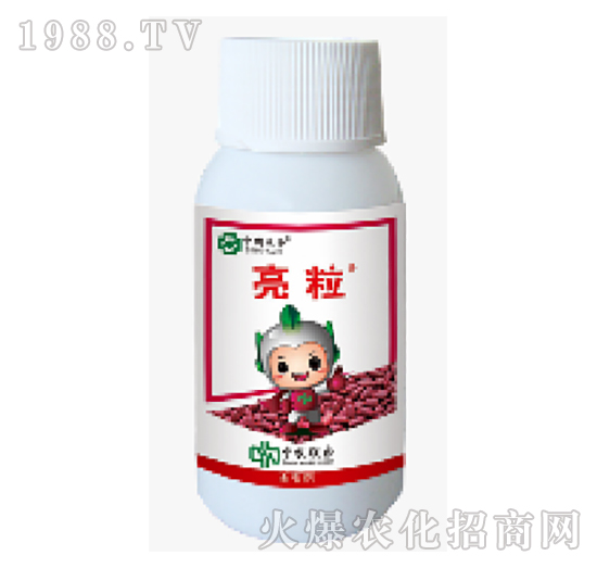 600��ÿ�����x(ch��ng)��-����-���r(n��ng)(li��n)��