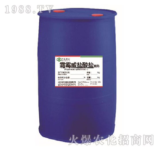 ˪ù���}���}ԭˎ-���r(n��ng)(li��n)��