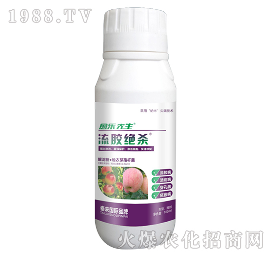 ����ۡ�����ѿ�ߗU��-���z�^��-��������-̩��