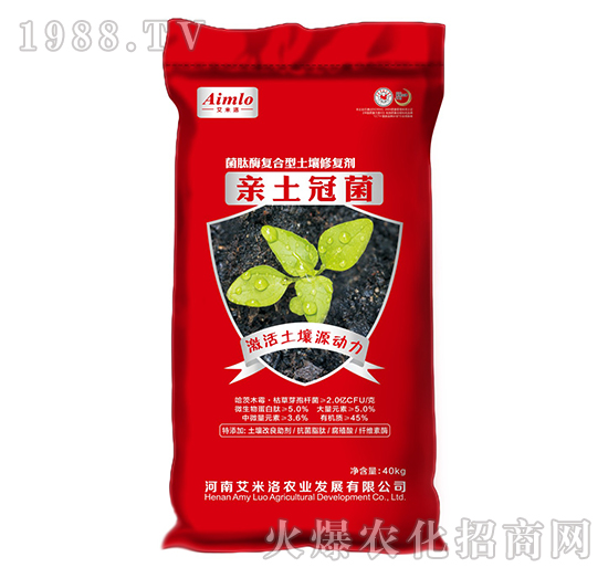 ����ø�ͺ��������ޏ̈́�-�H���ھ�-������