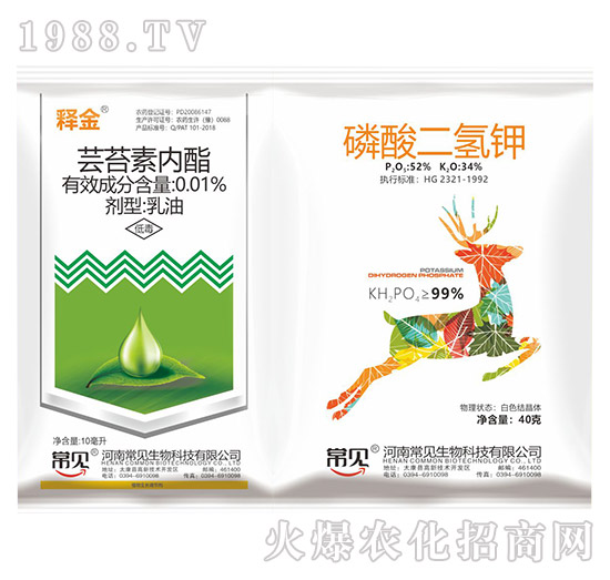 �|̦�؃�(n��i)��+��������-ጽ�-��Ҋ����