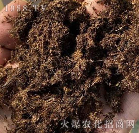 ����PINSTRUP��̿��-����