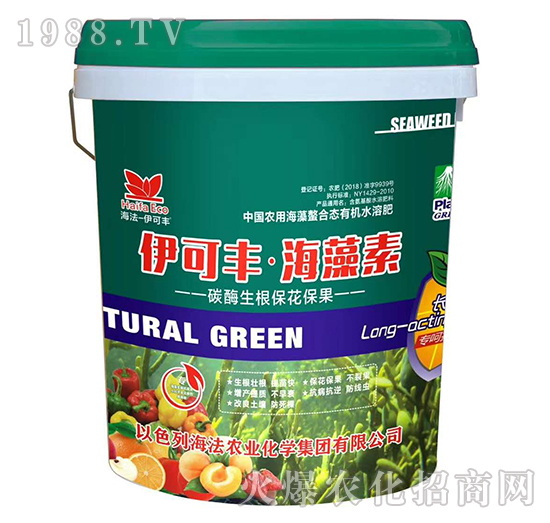 ̼ø������������-�����S��������-����