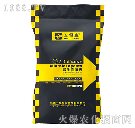 ��ֲ����΢�������-��ʘ�-������