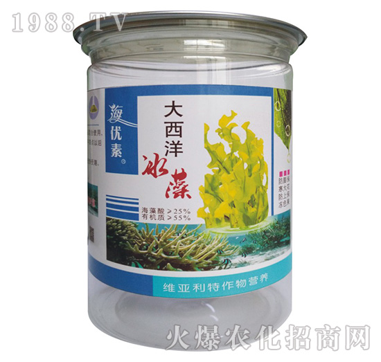 ���������-�S������