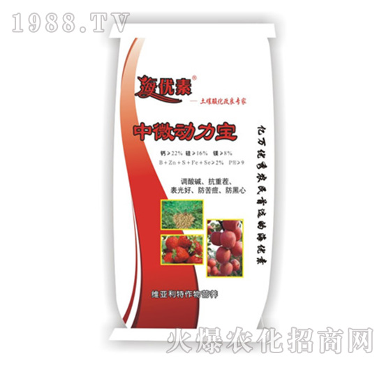 ��΢������-�S������