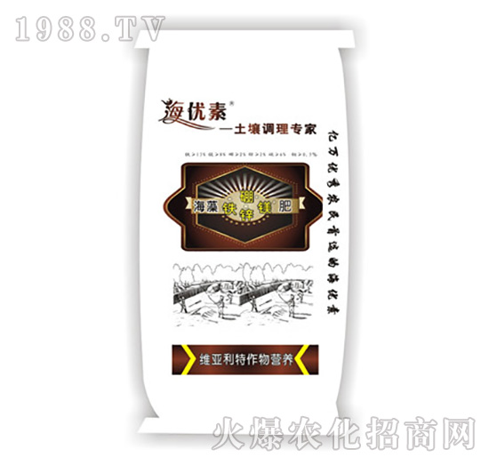 �������\�F�V��-�S������