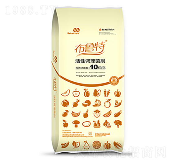 �����{������-������-�ǃ|�r�I(y��)