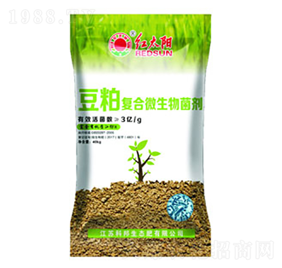 ���ɏ�(f��)��΢�������-�t̫�-�ư�