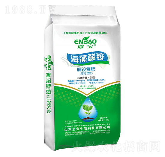 �������@2̖(h��o)-����