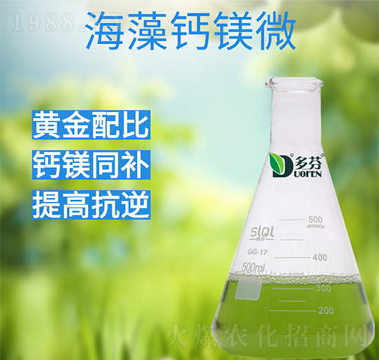 �����}�V΢-����r�I(y��)