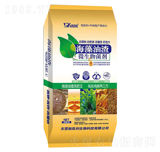 ��������΢�������-�لP��