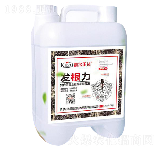 �l(f��)������(f��)�Ͼ��l(f��)��ĸҺ��-�لP��