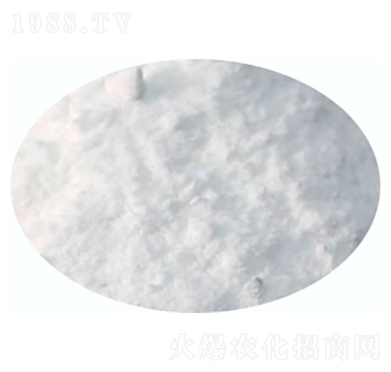 �����-����