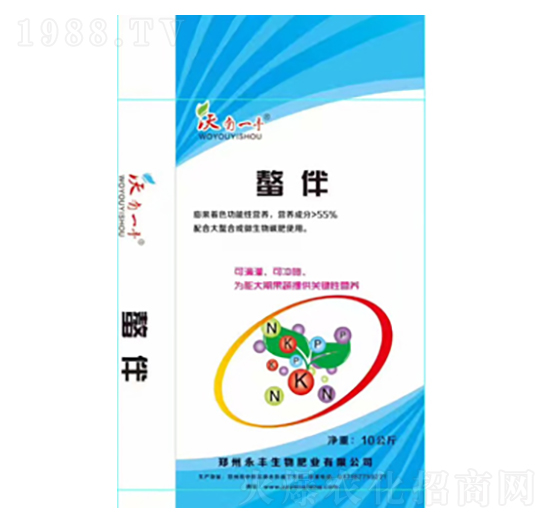 �����ϰ���-���S����