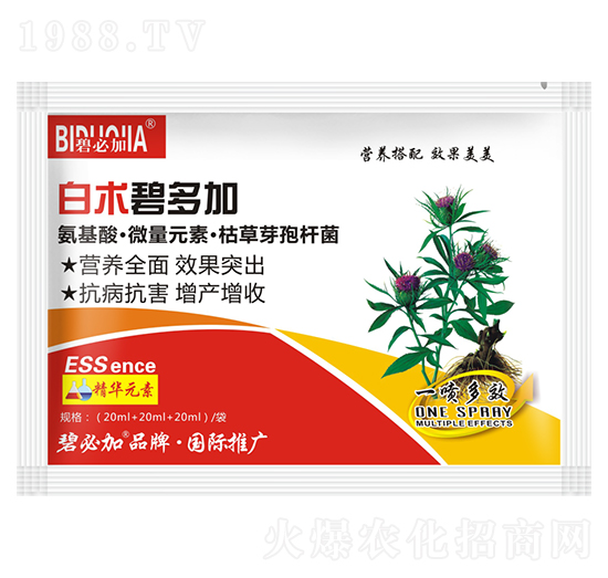 ���g�̶��-�κ�����