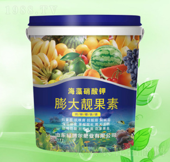 ����n����-�G�����ʘI(y��)