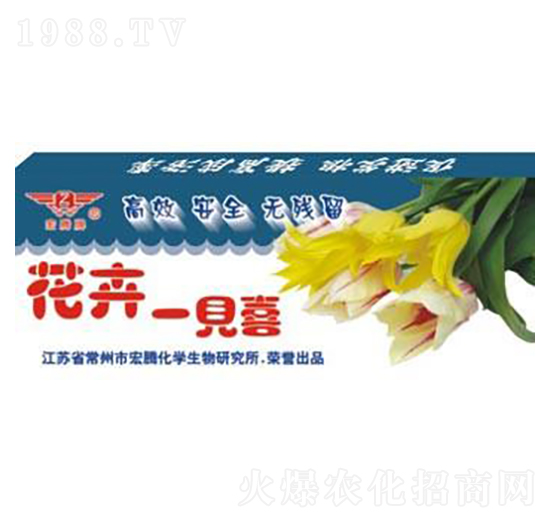 ����һҊϲ-���v����