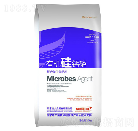 �ЙC(j��)���}���������-�󱊷ʘI(y��)