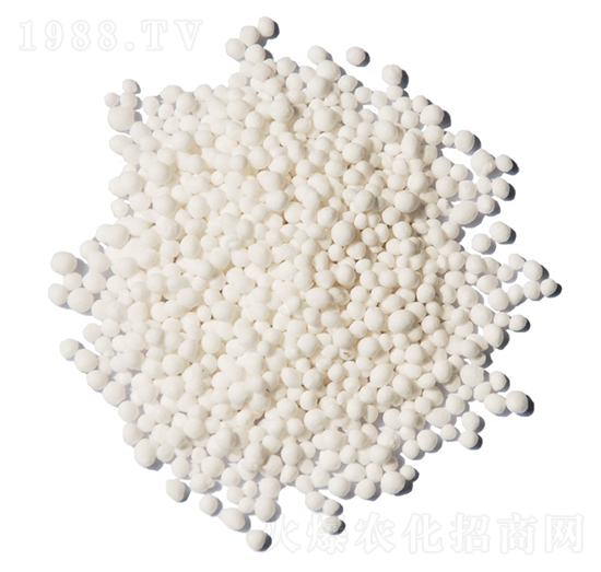 �A�w�����-ïʩ���B(t��i)��