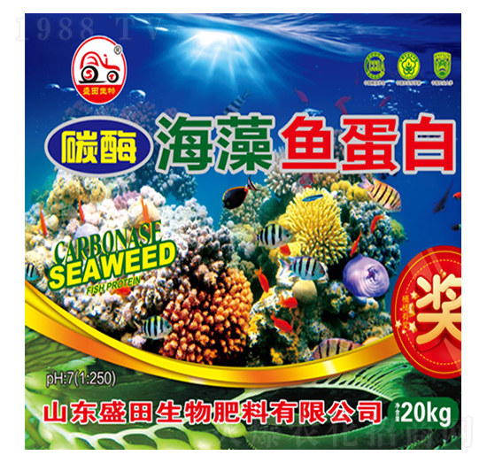 ̼ø�����~����-ʢ������