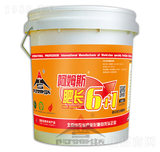 ���L6+1-��ķ˹