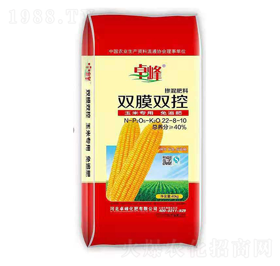 �pĤ�p�ؓ������22-8-10-׿��