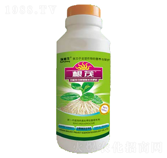 ��ï-��������