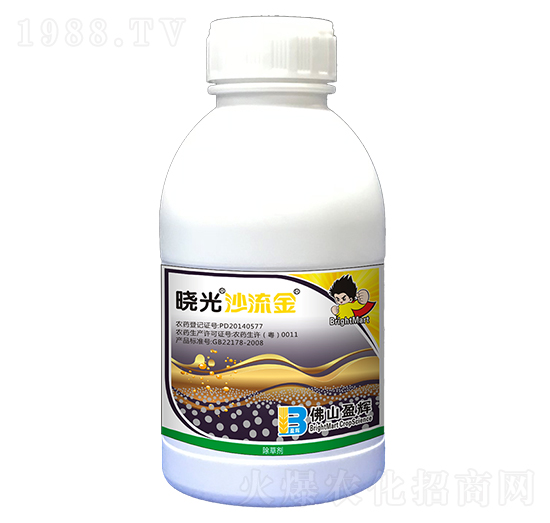 250��ÿ���f��ͪ-�Թ�ɳ����-ӯ�x