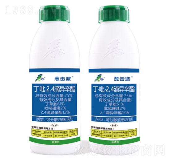 75%��������2��4���ή���֬-�[����-����