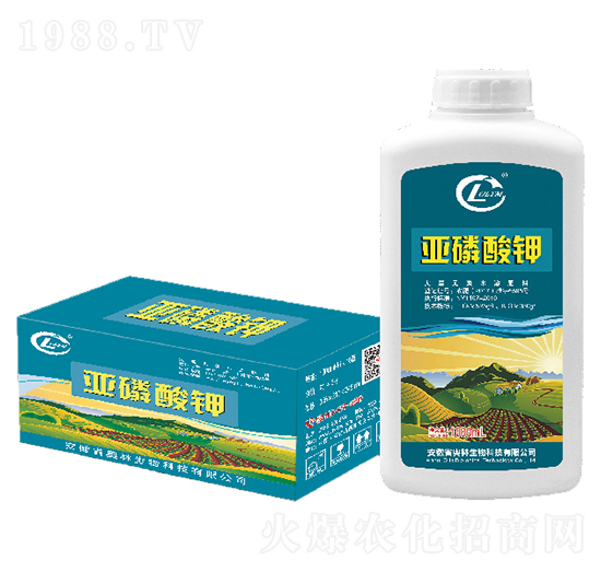 �������-�W������