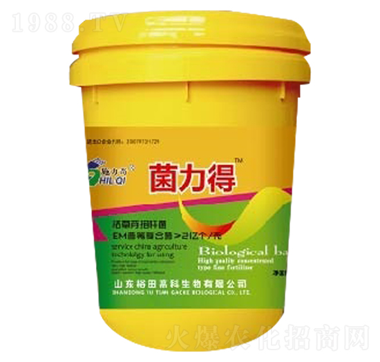 �ݲ�ѿ�ߗU��-������-ԣ��߿�