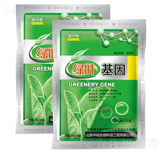 �G�~����-ʩ����-ԣ��߿�