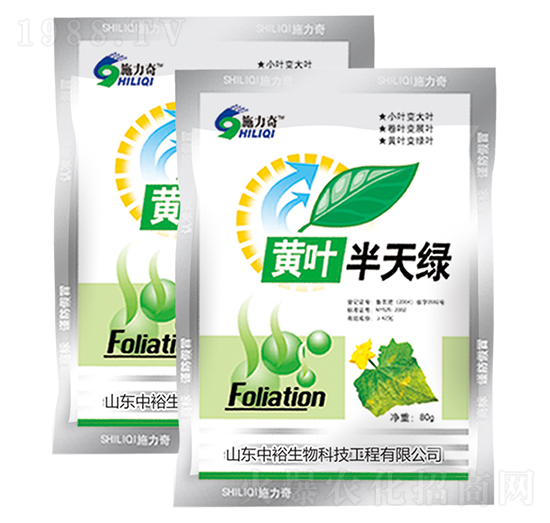 �S�~����G-ʩ����-ԣ��߿�