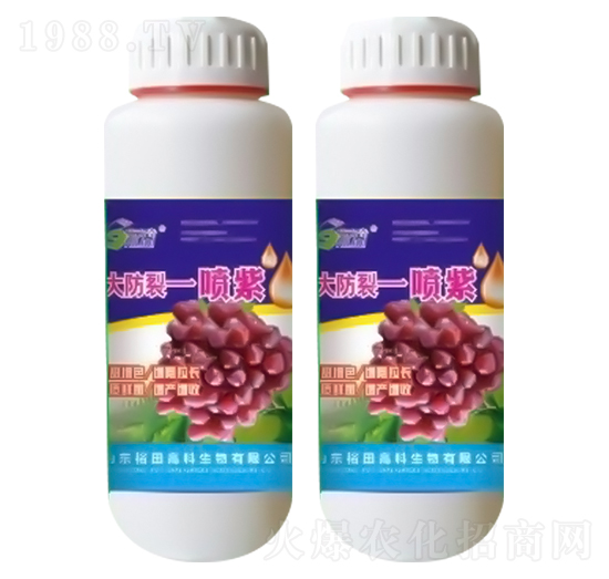 ������һ����-ʩ����-ԣ��߿�