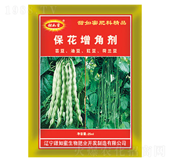 �������Ǆ�-������