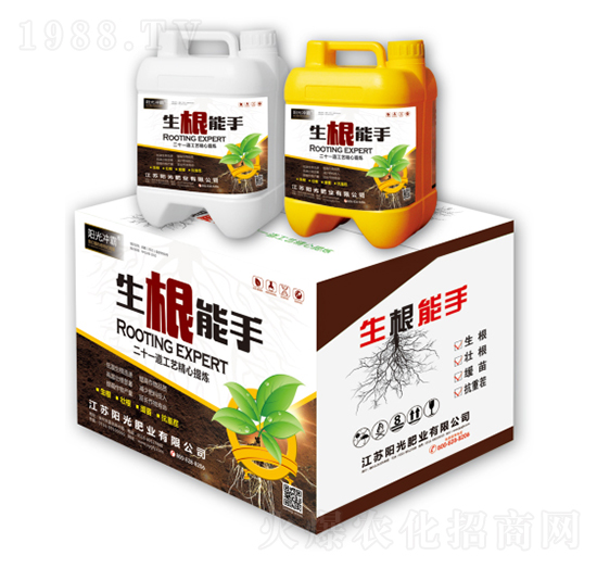 ��������-ꖹ�_��-ꖹ�ʘI(y��)