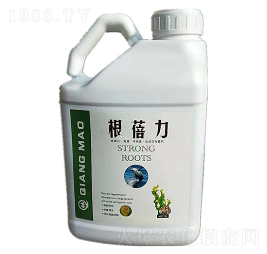 ������-��΢����