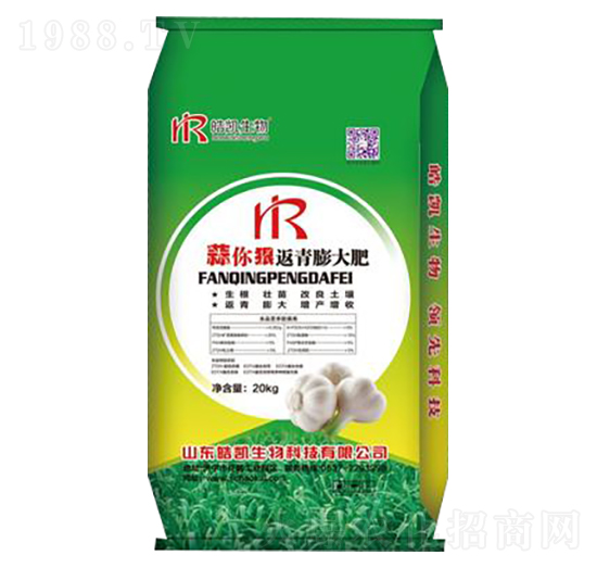 ����ݷ�������-�P����