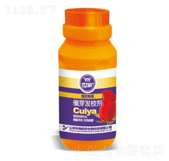 �^�����ô�ѿ�l(f��)֦��-����-�ƺ�(li��n)��