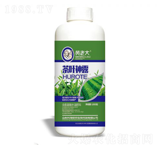 ���~��¶-�S�ϴ�-�ƺ���