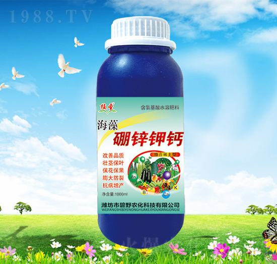 �������\��}-��Ұ�r��