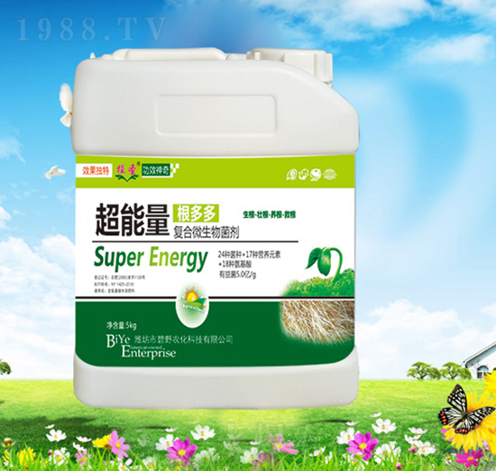 �����������-ֲʥ-��Ұ�r��